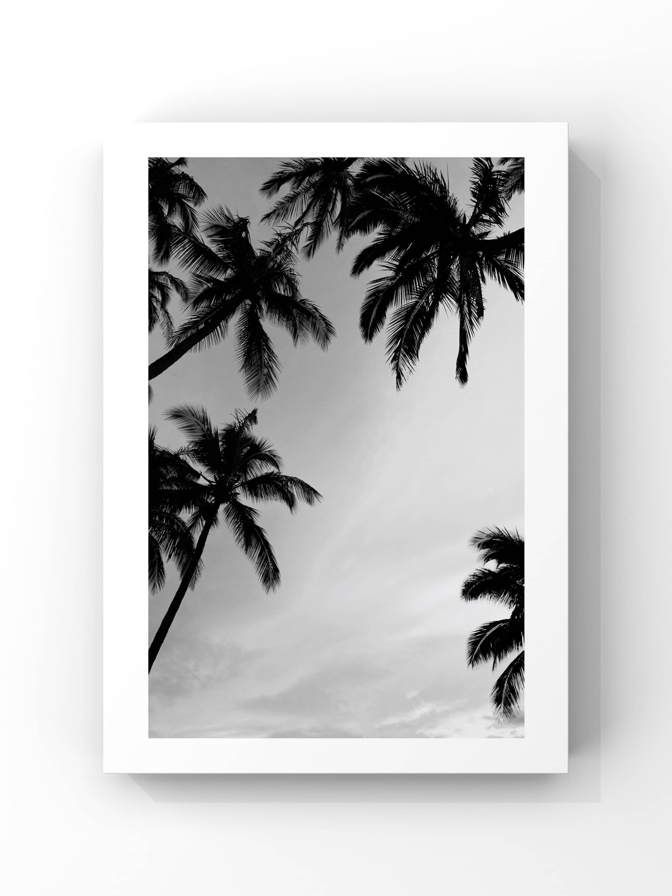 Natural World Seri 3 Poster Tablo